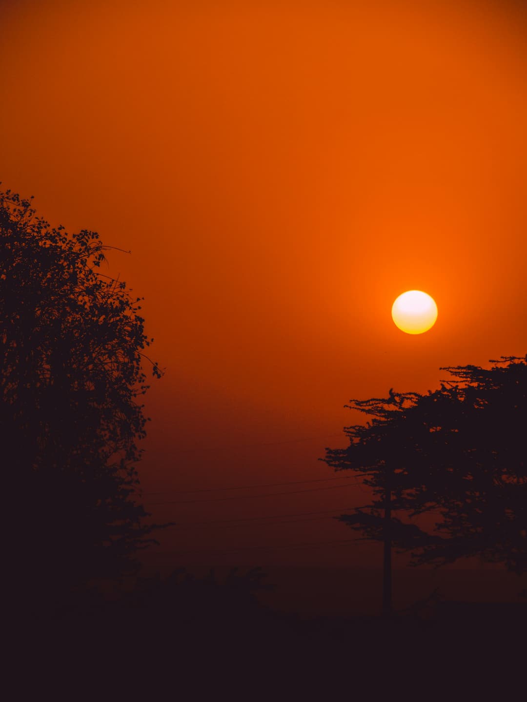 Sun Shade
